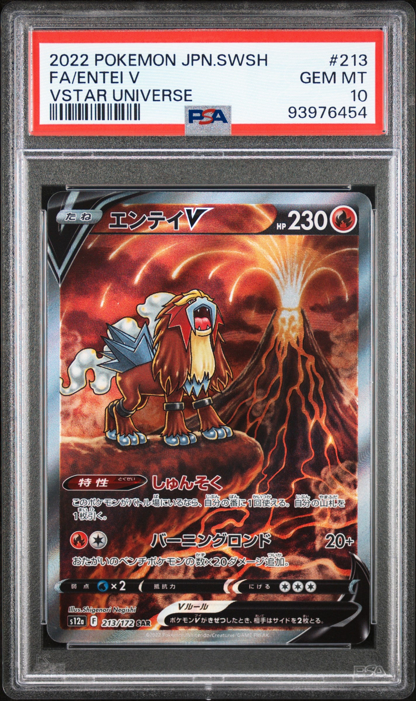 2022 ENTEI V #213 - PSA 10